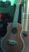 Ukulele